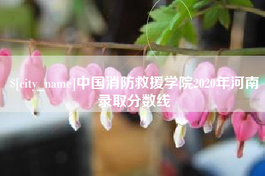 通许中国消防救援学院2020年河南录取分数线