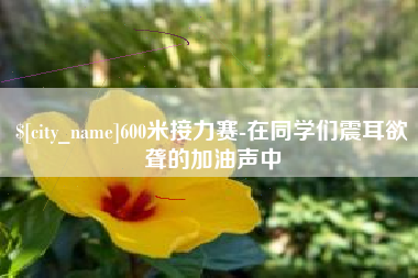 通许600米接力赛-在同学们震耳欲聋的加油声中