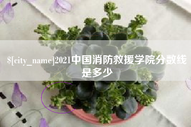 通许2021中国消防救援学院分数线是多少