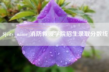 通许消防救援学院招生录取分数线