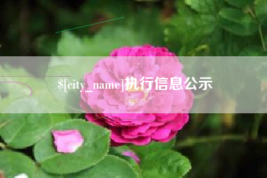 通许执行信息公示