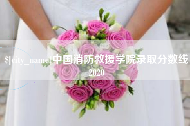 通许中国消防救援学院录取分数线2020