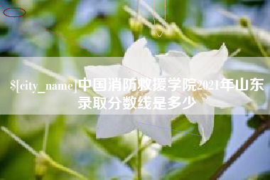 通许中国消防救援学院2021年山东录取分数线是多少