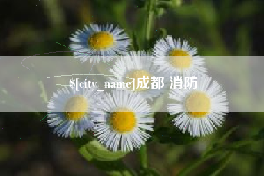 通许成都 消防