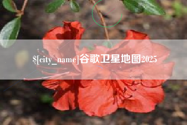 通许谷歌卫星地图2025