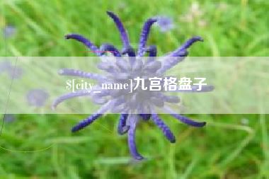 通许九宫格盘子