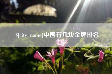 通许中国有几块金牌排名