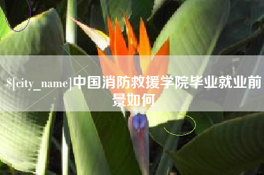 通许中国消防救援学院毕业就业前景如何