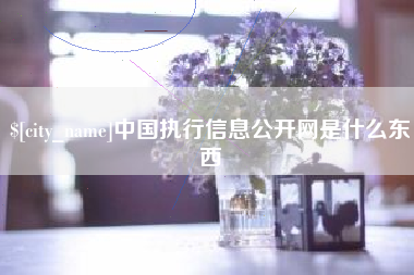 通许中国执行信息公开网是什么东西