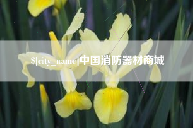 通许中国消防器材商城