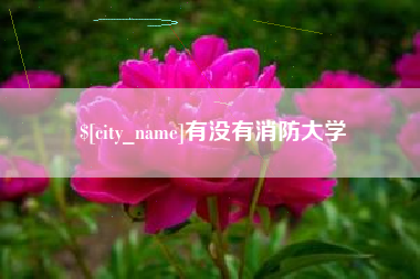 通许有没有消防大学