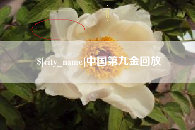 通许中国第九金回放