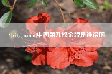 通许中国第九枚金牌是谁得的