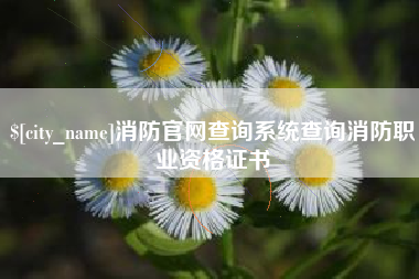 通许消防官网查询系统查询消防职业资格证书