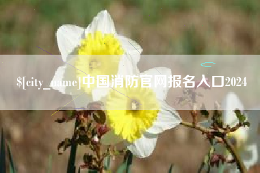 通许中国消防官网报名入口2024
