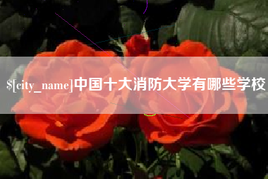 通许中国十大消防大学有哪些学校