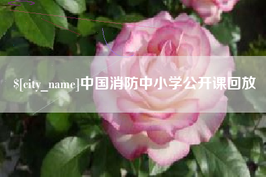 通许中国消防中小学公开课回放