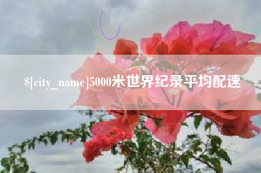 通许5000米世界纪录平均配速