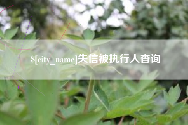 通许失信被执行人杳询
