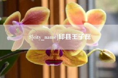 通许邱县王子磊