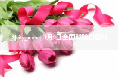 通许11月9日全国消防日图片