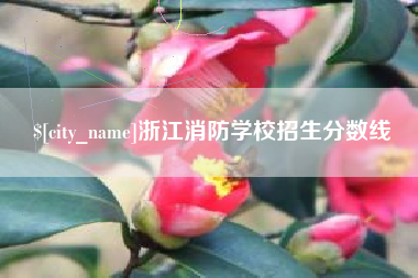 通许浙江消防学校招生分数线