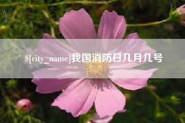 通许我国消防日几月几号