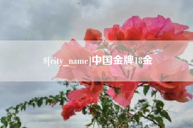 通许中国金牌18金