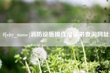 通许消防设施操作员证书查询网址