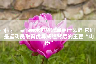 通许5000米世界冠军穿什么鞋-它们是运动员取得优异成绩背后的重要“功臣”