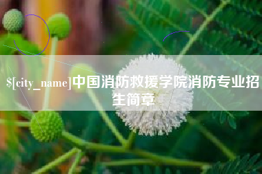 通许中国消防救援学院消防专业招生简章