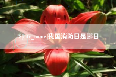 通许我国消防日是哪日