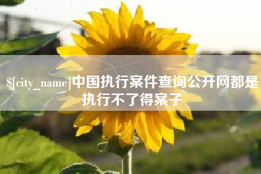 通许中国执行案件查询公开网都是执行不了得案子