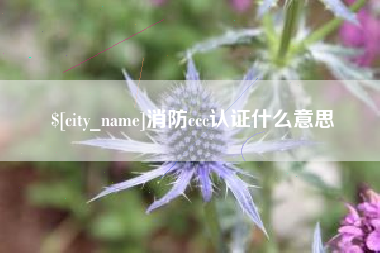 通许消防ccc认证什么意思