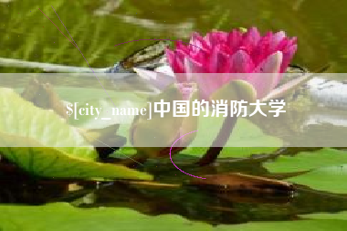 通许中国的消防大学