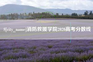 通许消防救援学院2020高考分数线