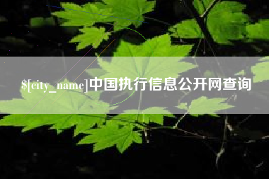 通许中国执行信息公开网查询