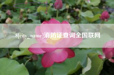 通许消防证查询全国联网