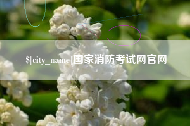 通许国家消防考试网官网