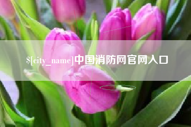 通许中国消防网官网入口