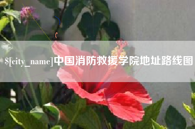 通许中国消防救援学院地址路线图