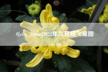 通许2022年九宫格飞星图