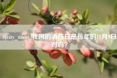 通许我国的消防日是每年的11月9日对吗？