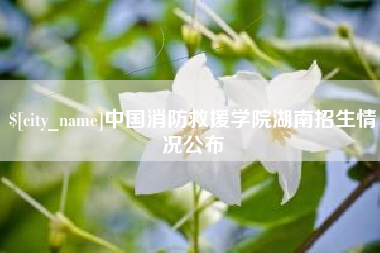 通许中国消防救援学院湖南招生情况公布