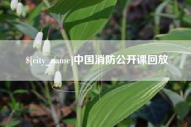 通许中国消防公开课回放