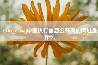 通许中国执行信息公开网的网址是什么