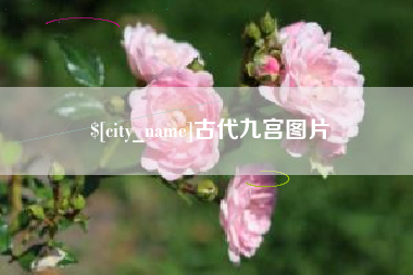 通许古代九宫图片
