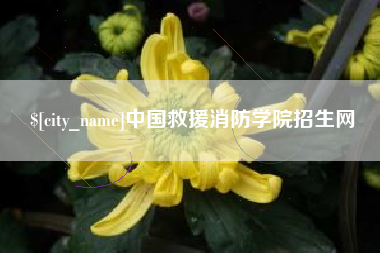 通许中国救援消防学院招生网