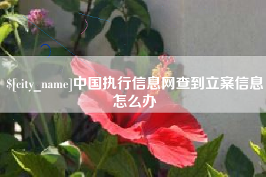 通许中国执行信息网查到立案信息怎么办