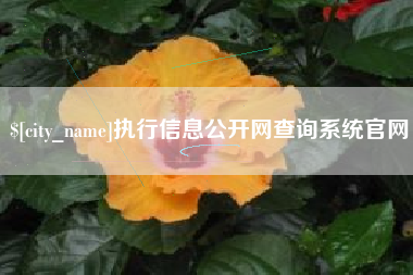 通许执行信息公开网查询系统官网